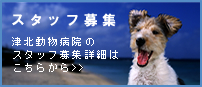 ����ưʪ�±��Ͻð�դȴǸ�Τ��罸���Ƥ���ޤ����ܤ����ϵ�Ͱ����������������